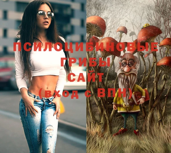 гидра Абинск