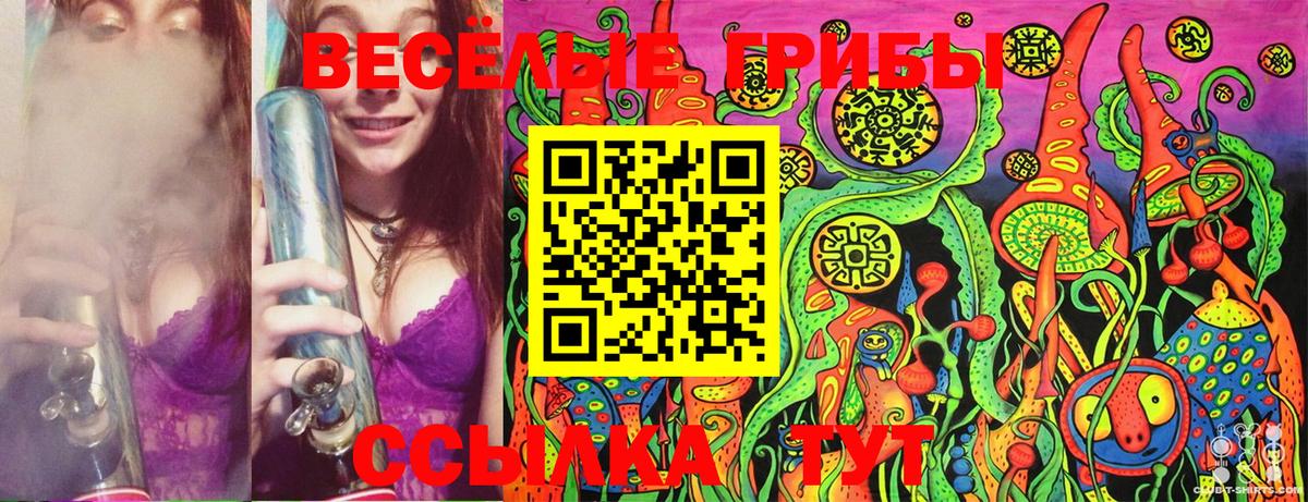 Галлюциногенные грибы MAGIC MUSHROOMS Фурманов